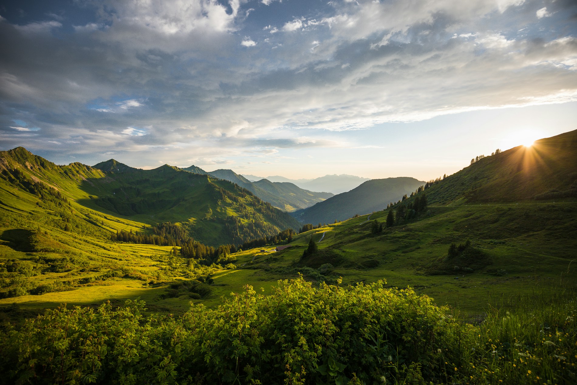 Green hills in warm golden light
